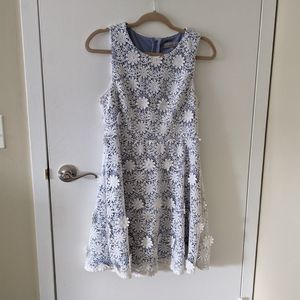 Floral Lace Baby Blue White Dress